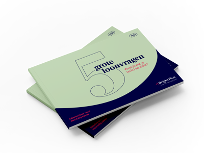 5 Grote Loonvragen Transparant